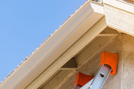 The Importance of Gutters: How They Protect Your Roof and Home